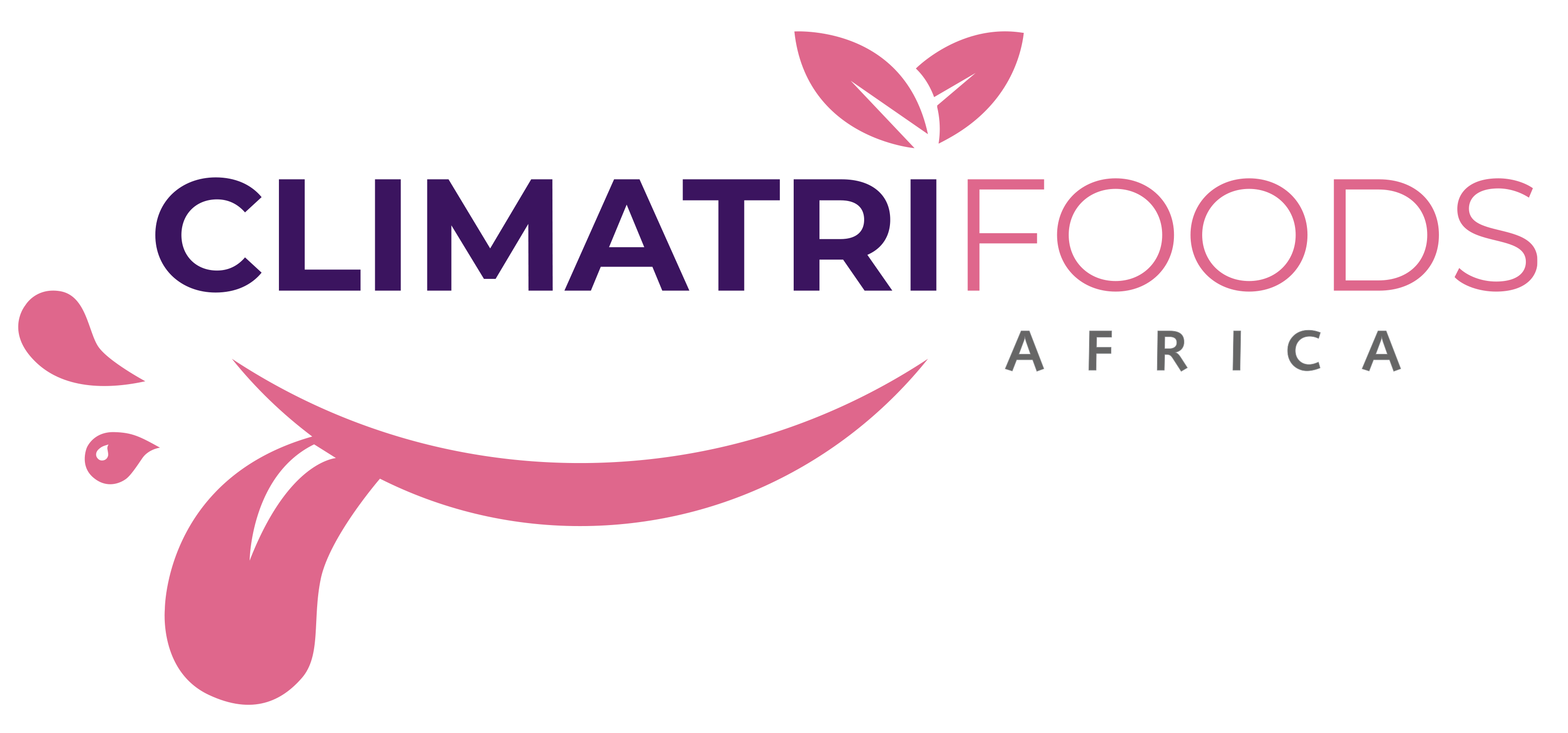 Climatri Africa Logo Climatri Africa Logo